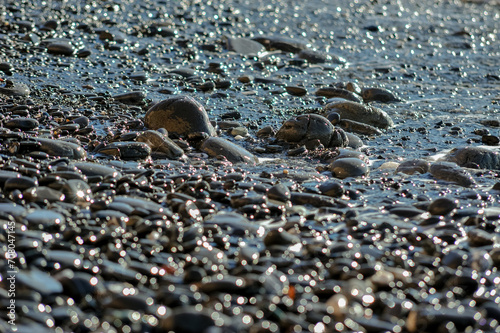Pebble dars on the seashore close-up, selective focus