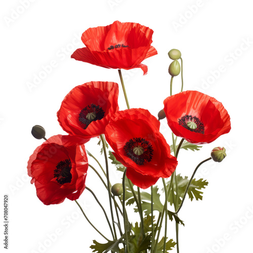 bouquet of poppies replaces memories and solace.