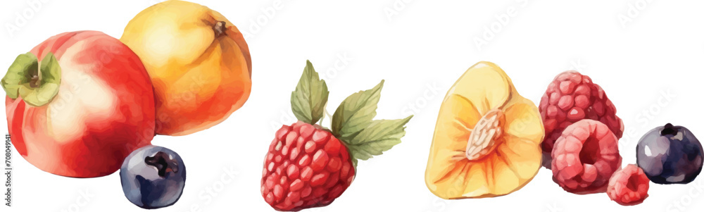 Fototapeta premium Peach, blackberry and fruits