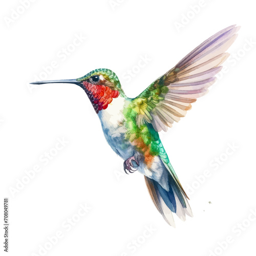 Flying North American Ruby-troathed hummingbird isolated. Trendy vector print, Watercolor humming bird, Hand drawn vector illustration of a flying hummingbird