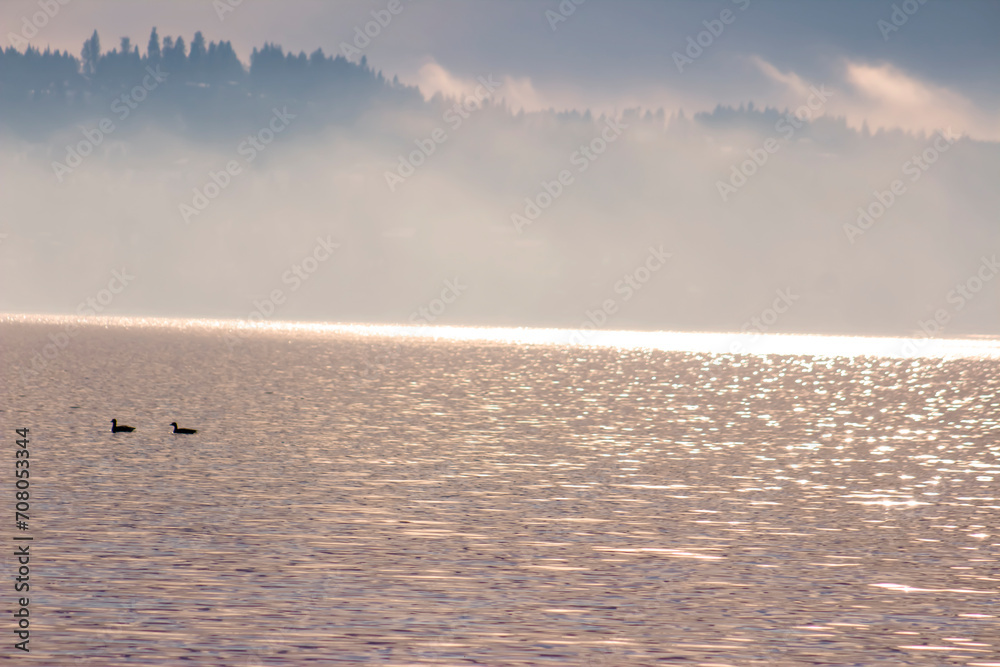 Silhouette of Ducks at Sunrise or Sunset on a Misty Lake with a Pinkish-Peach Glow & Misty Cloud Covered Trees on Hills Behind - Background, Backdrop, Border or Wallpaper