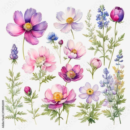 set of watercolor painted flowers
