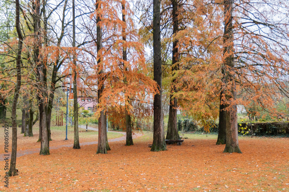 Tranquil autumn park scene with falling leaves.