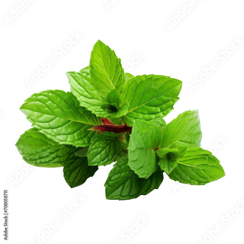 Peppermint: Warmth and cordiality