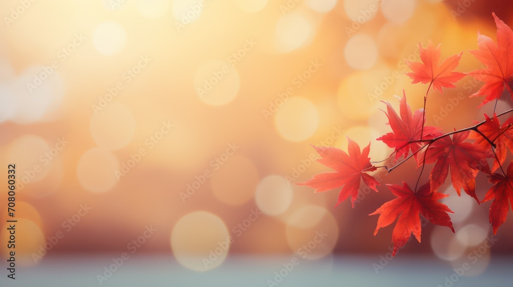 Autumn background with maple leaves and bokeh defocused lights