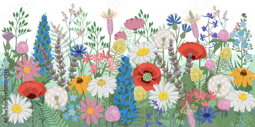 Hand drawn vector illustration. Summer horizontal Background wildflowers. Blossom meadow