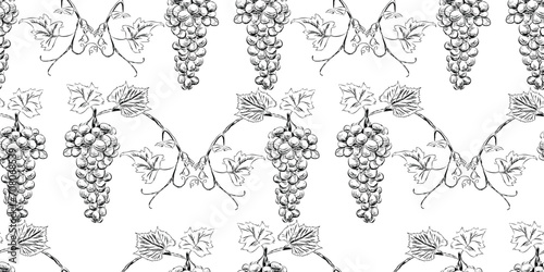Seamless vector pattern of sketches vine branches with ripe grape berries bunches leaves and tendrils, background for textile,paper,wallpaper