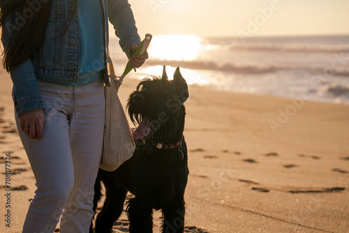 young beautiful woman on the beach plays with the big black dog giant schnauzer near the ocean 