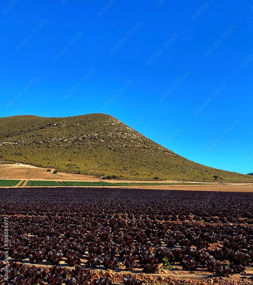 Landschaft im Naturpark Cabo de Gata bei Rodalquilar, Andalusien