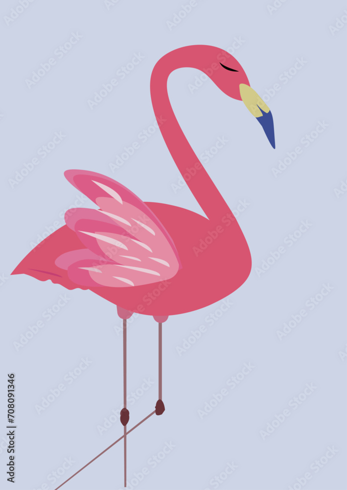 Obraz premium flamingo