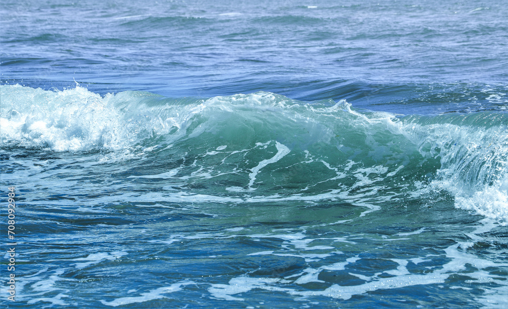 Obraz premium waves of the sea