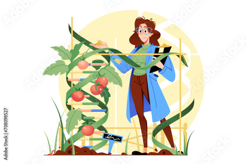 Person Tending Tomato Plant