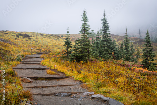 Misty Mountain Trail in Autumn