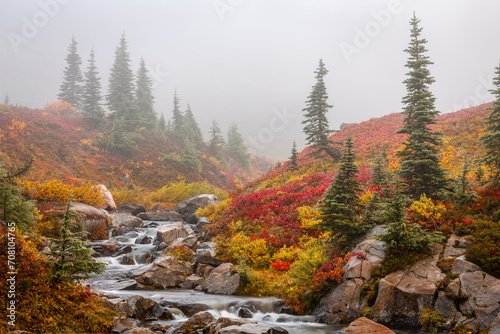 Fototapeta Naklejka Na Ścianę i Meble -  Autumn Mist over Mountain Stream