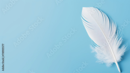 illustration of a soft white feather on a llight blue background with copy space