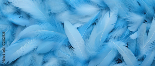 illustration of a light blue colored background with feathers