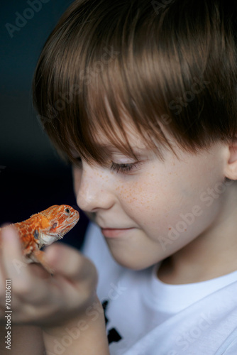 Portrait of boy with Red bearded Agama iguana. Little child playing with reptile. Selective focus. High quality photo © lara-sh