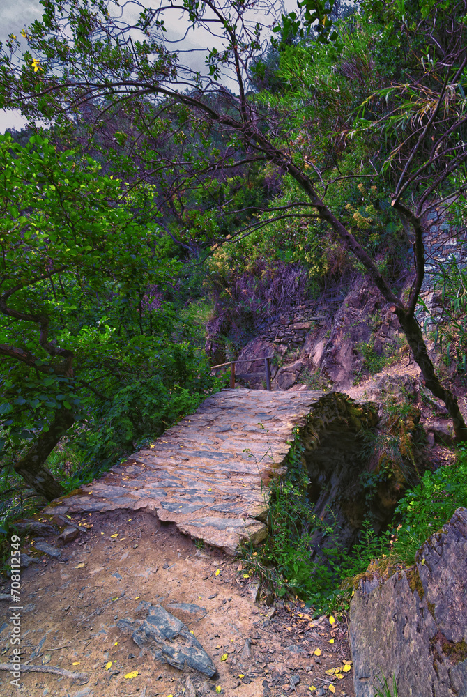 Cinque Terre views of hiking trail along seaside villages on the Italian Riviera coastline. Liguria, Italy, Europe. 2023 Summer.
Cinque Terre views of hiking trail along seaside villages on the Italian Riviera coastline. Liguria, Italy, Europe. 2023 Summer.