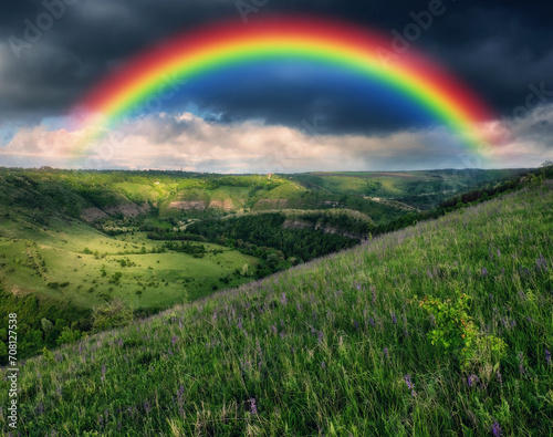 colorful rainbow over the meadow in the morning with grass and flowers. nature of Ukraine