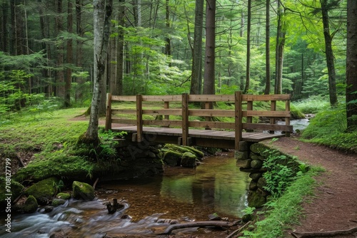 Rustic wooden bridge over a tranquil forest stream
