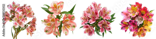 Alstroemeria  Flower Pile Of Heap Of Piled Up Together  Hyperrealistic Highly Detailed Isolated On Transparent Background Png File