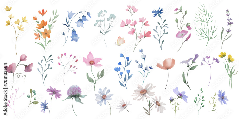 Watercolor vector set. Hand drawn floral illustration isolated on white background. - obrazy, fototapety, plakaty 