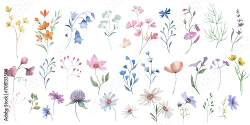 Watercolor vector set. Hand drawn floral illustration isolated on white background.