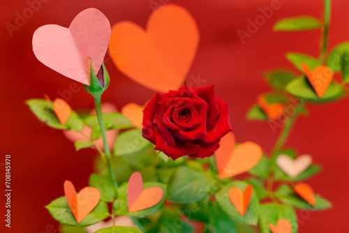 Banner of a rose with paper hearts on its green leaves against a red background. Concept of love  Valentine s Day  elegance. Copyspace