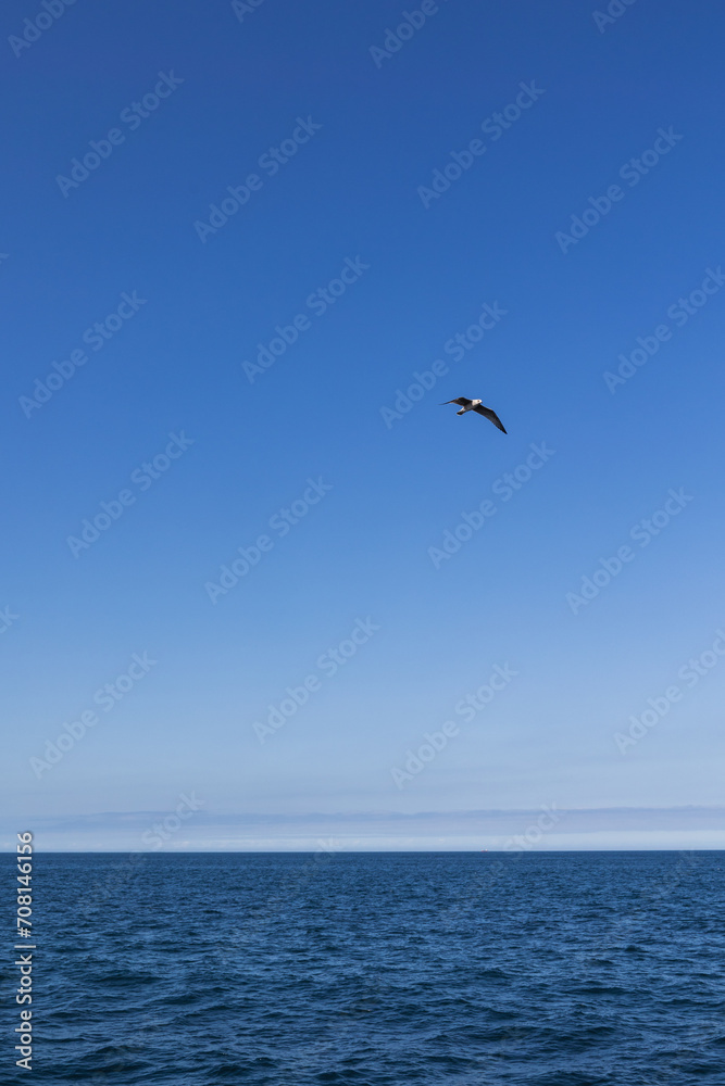 A seagull flying over the blue sea conveying calm and serenity, a bird gliding quietly, in Spain