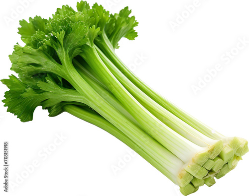 Fresh green celery isolated