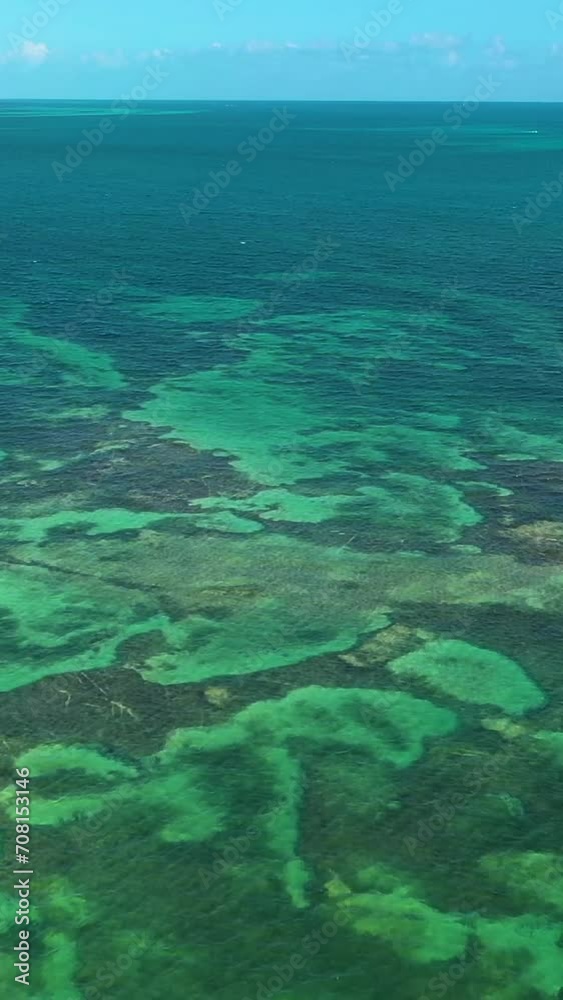 Exploring Hawaii's Underwater Wonders: Tropical Reefs and Ocean Escapes Exploring Hawaii's Underwater Wonders: Tropical Reefs and Ocean Escapes