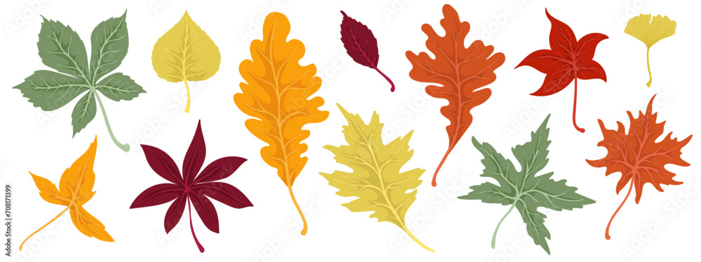 Fototapeta premium Colorful autumn leaves.Vector graphics.