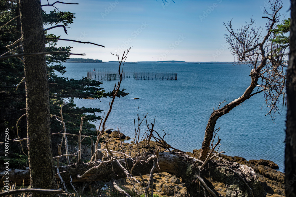 Cliff view of fishing weir
