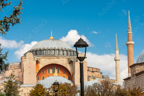 Photography Mosque of Hagia Sophia with autumnal leaves, Istanbul,  Turkey