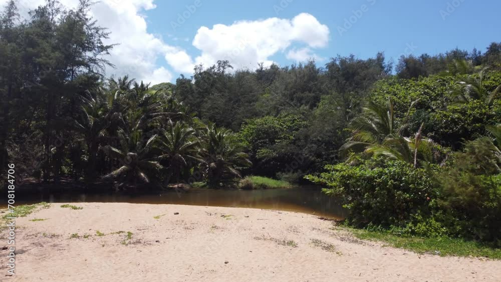 Moloaa Beach in Kauai, Hawaii. Tropical island sand at the ocean surrounded by palm trees in the jungle with a lagoon . Moloaa Beach in Kauai, Hawaii. Tropical island sand at the ocean surrounded by palm trees in the jungle with a lagoon .
