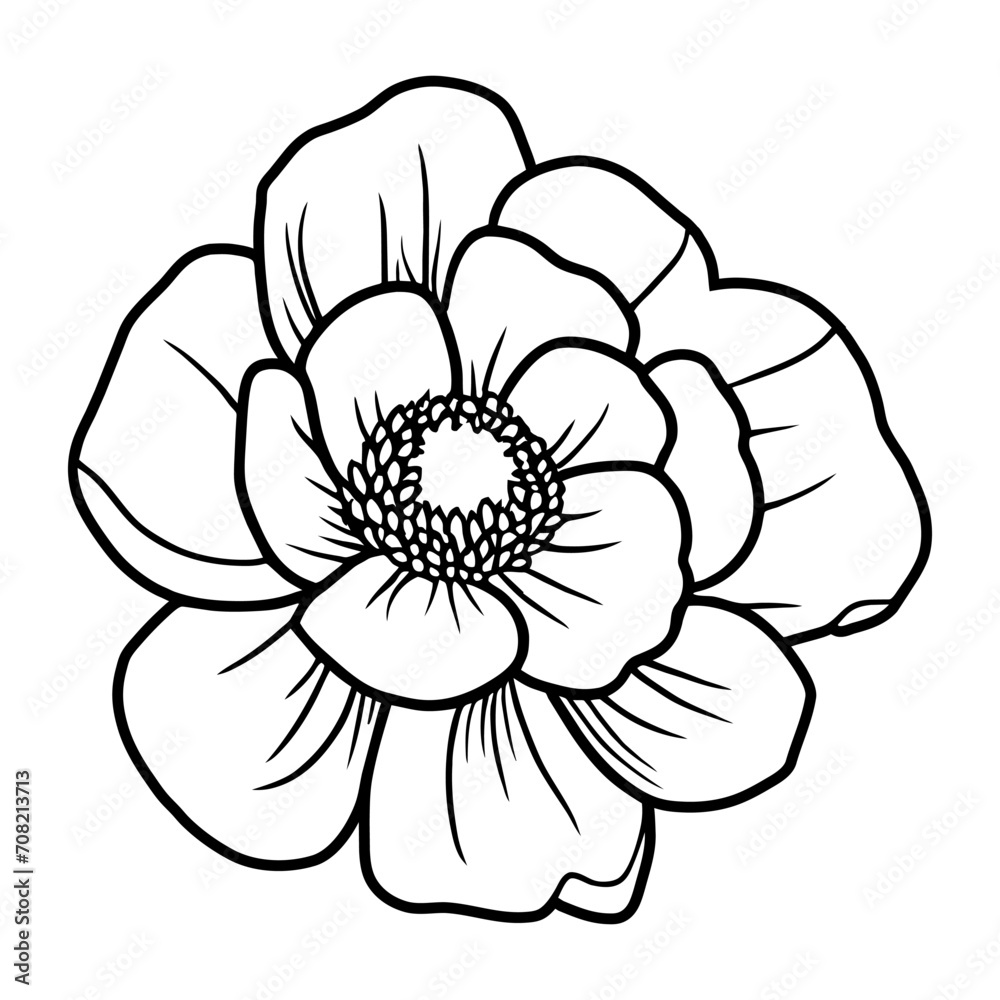 Hand drawn simple flower illustration Hand drawn simple flower illustration