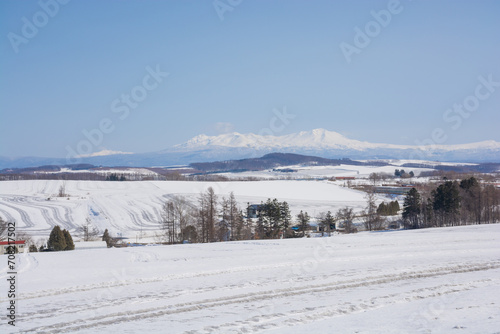 融雪剤が撒かれた雪の畑と山並み　大雪山  © kinpouge