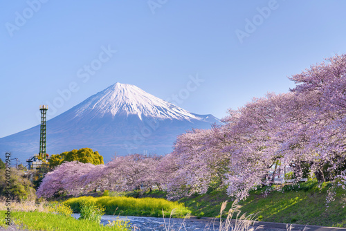 静岡県富士市　龍巌淵の桜と富士山 photo