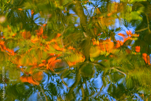 Tree Orange Green Blue Water Reflection Abstract Habikino Japan photo