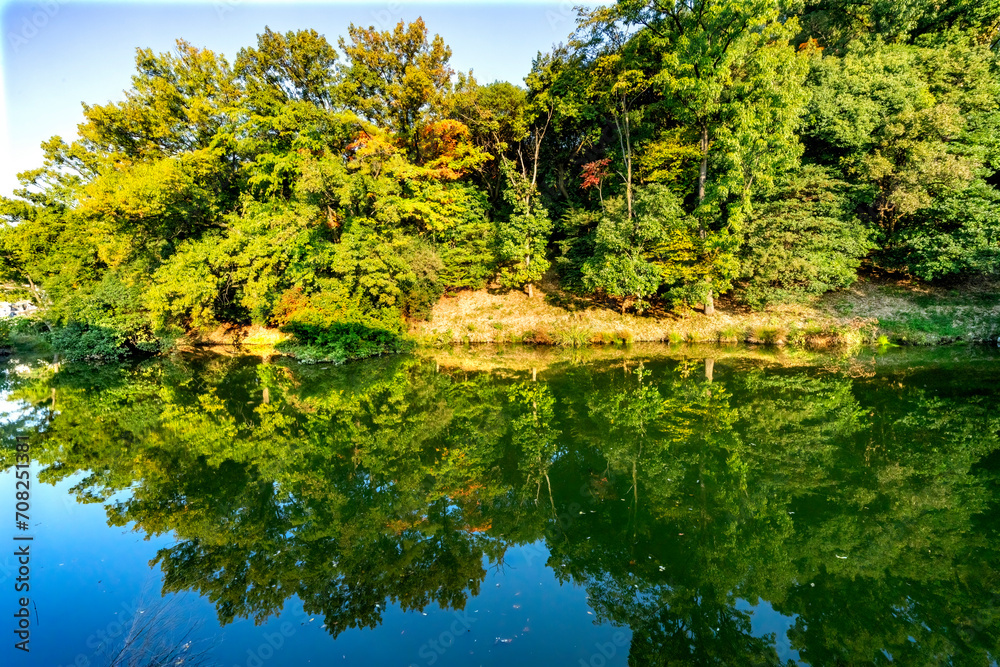 Orange Fall Leaves Green Reflection Abstract Autumn Habikino Osaka Japan Orange Fall Leaves Green Reflection Abstract Autumn Habikino Osaka Japan