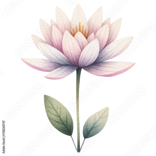 A Water Lily Flower, Watercolor Style, Isolate on Transparent Background. Generative AI