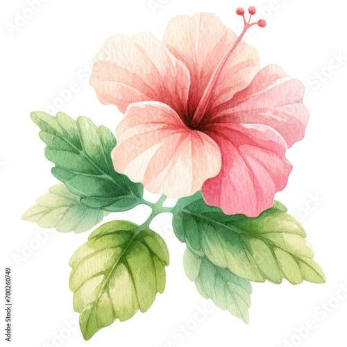 A Hibiscus Flower, Watercolor Style, Isolate on Transparent Background. Generative AI
