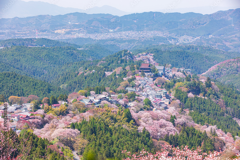 奈良県吉野山　満開の桜風景　
