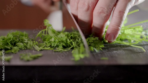 緑の新鮮な野菜　ハーブ・パセリをナイフで細かく切るシェフの手元　料理・レストラン・調理 photo