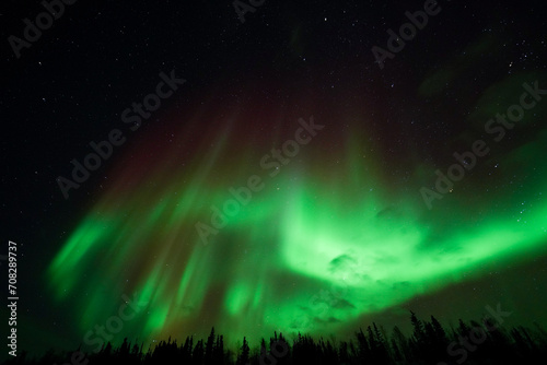 Fototapeta Naklejka Na Ścianę i Meble -  Aurora Borealis, Northern Lights, at Yellowknife, Northwest Territories, Canada