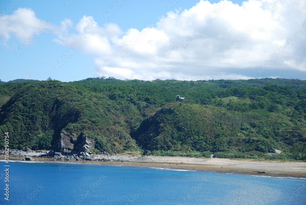 沖縄本島最北端　辺戸岬から望むヤンバルクイナ展望台