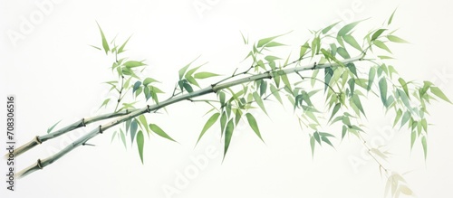 Bamboo branch watercolor painting with Oriental design  original artwork.