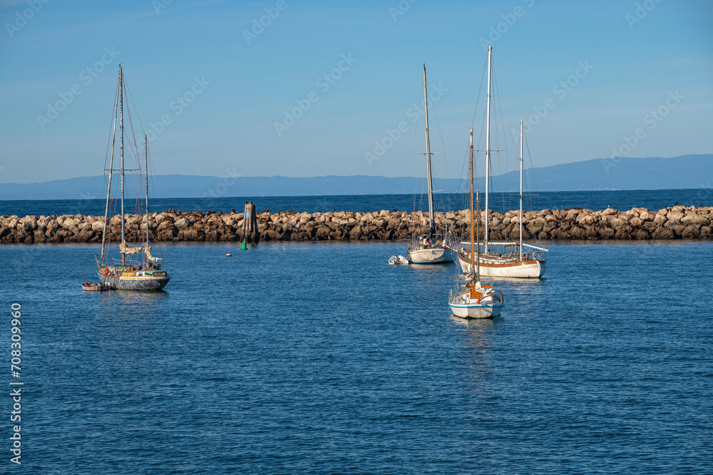 Four sailboats moored in Monterey bay California.
