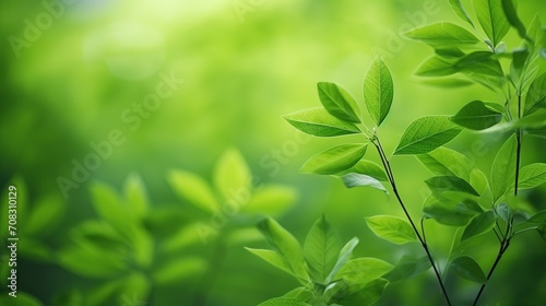  Closeup beautiful nature view of green leaf on blurred greenery background in garden with copy space using as background natural green plants landscape  ecology  fresh wallpaper concept. Generative A
