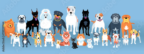 Vector dogs and cats of different breeds border set, flat design photo